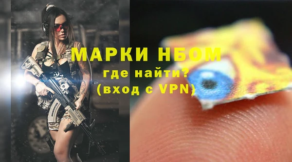 индика Горно-Алтайск