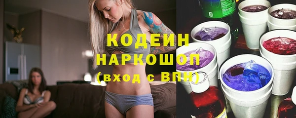 индика Горно-Алтайск