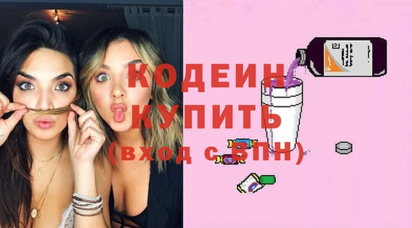 индика Горно-Алтайск