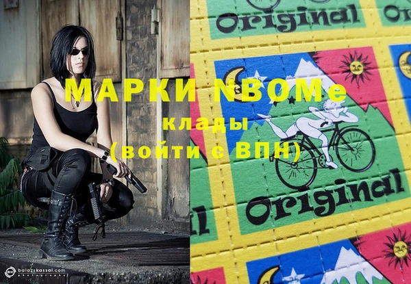 индика Горно-Алтайск