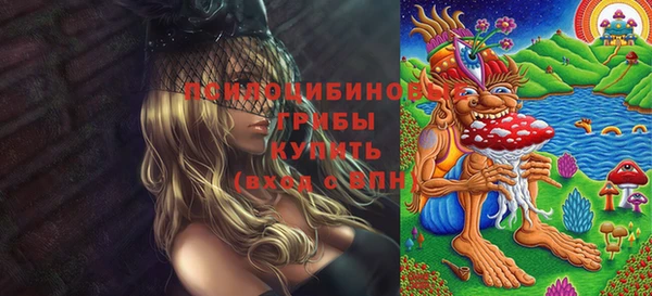 хмурый Горняк