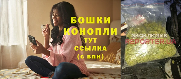 индика Горно-Алтайск