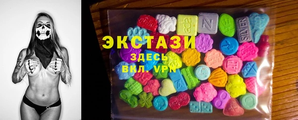 индика Горно-Алтайск