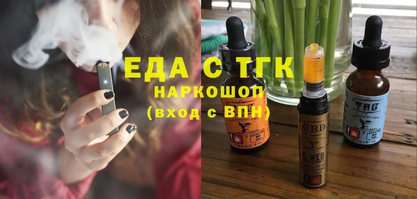 индика Горно-Алтайск
