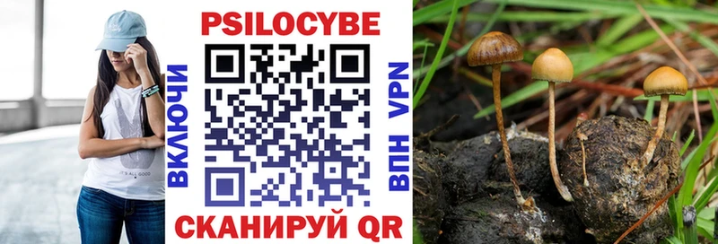 hydra зеркало Можайск Галлюциногенные грибы Psilocybe