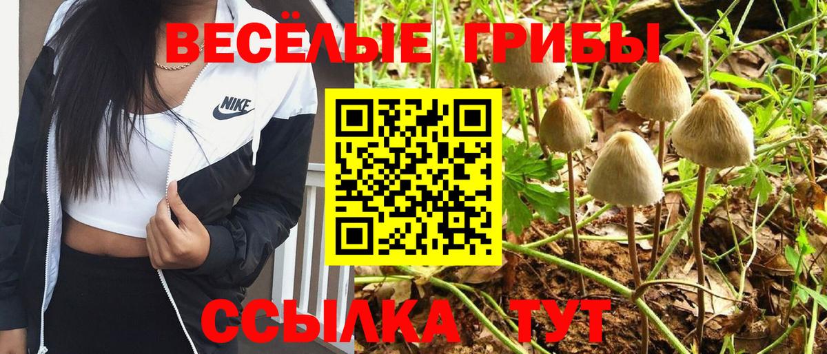 Псилоцибиновые грибы ЛСД Можайск