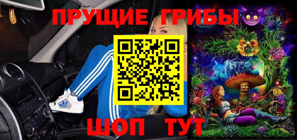 Галлюциногенные грибы Psilocybe Можайск
